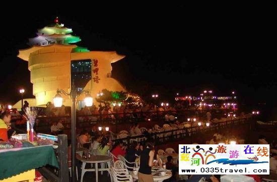 北戴河碧螺塔酒吧公園門票一張