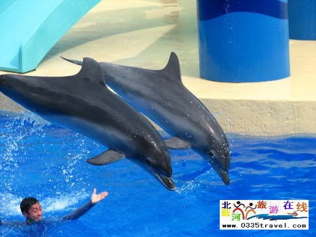 圣藍(lán)皇家海洋公園
