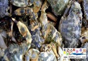 北戴河吉程海鮮特色酒店