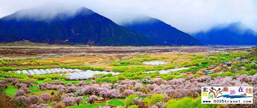 西藏林芝桃花節(jié)及布達拉宮大昭寺攻略